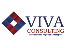 viva-consulting3